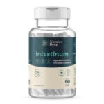 INTESTINUM